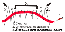 схема