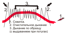 схема